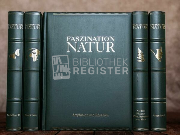 Faszination Natur- Pflanzen